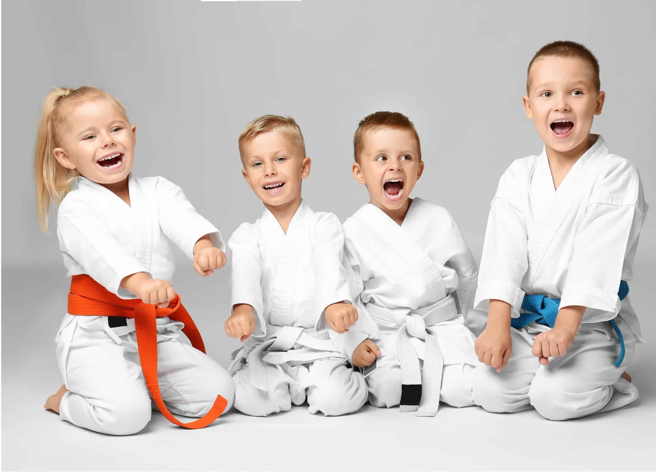 Tiny Tots Troop at Silverback Kids Martial Arts