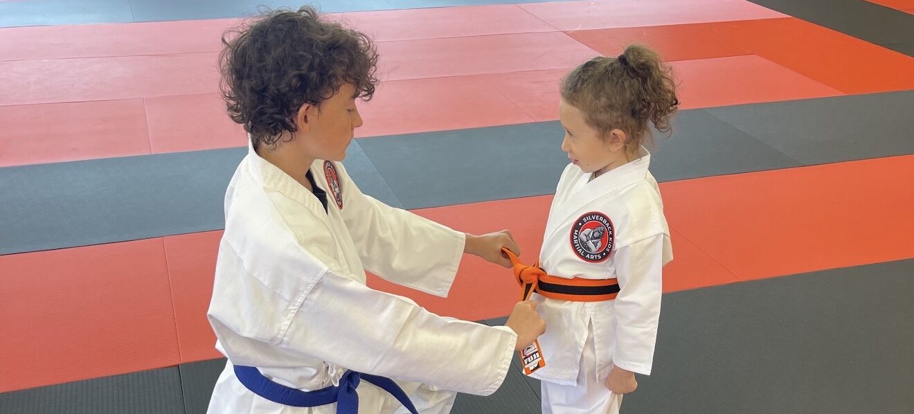 Junior Leadership Program at Silverback Kids Martial Arts