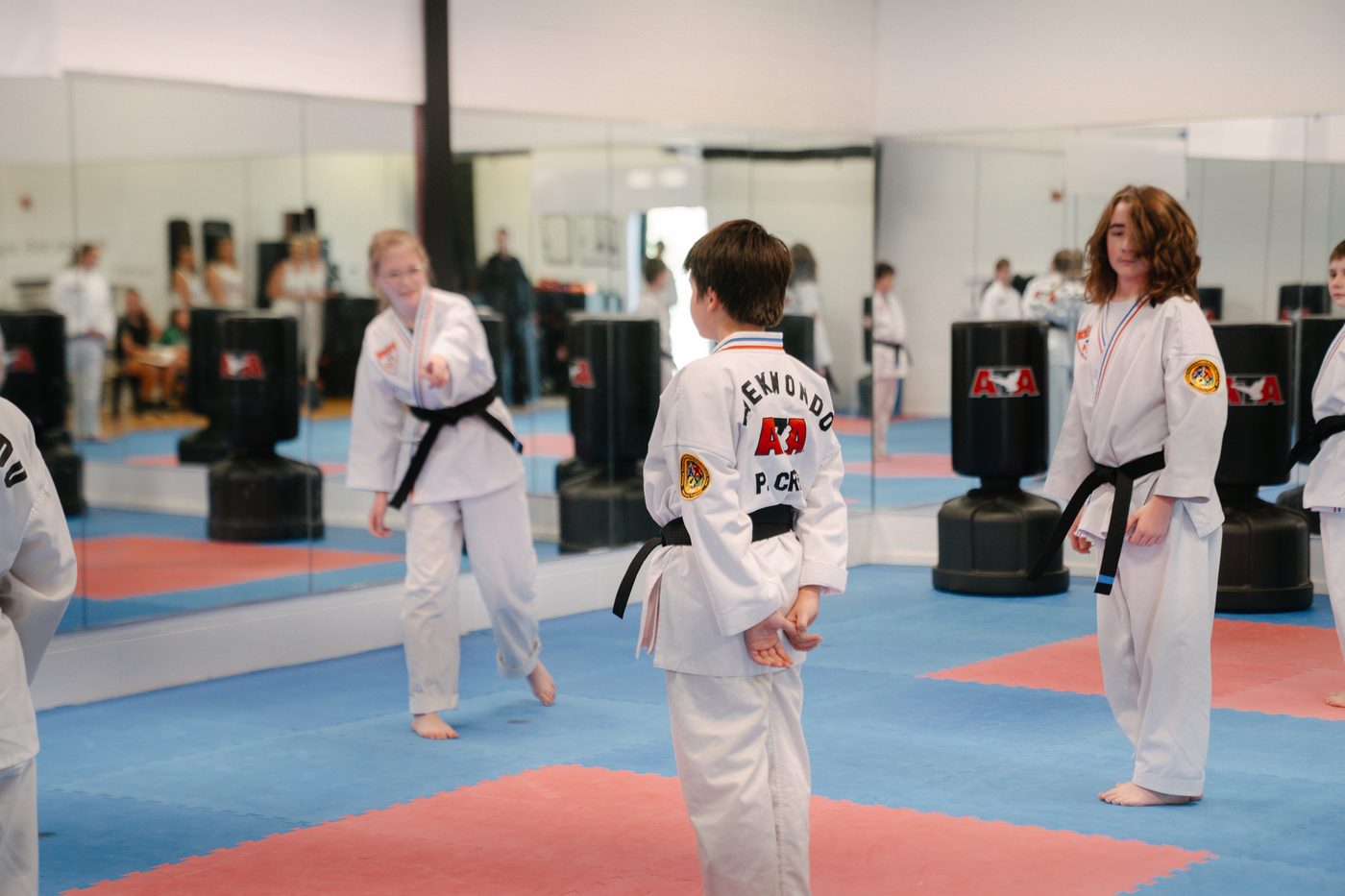 Teens & Adult Taekwondo at Golden Isles Martial Arts